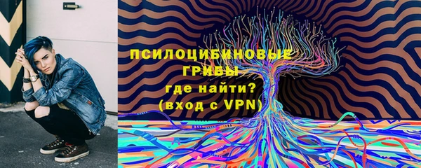 a pvp Надым