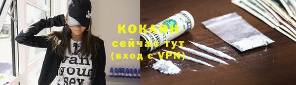 прущие грибы Навашино
