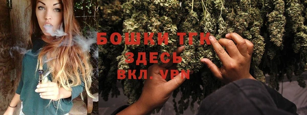 прущие грибы Навашино