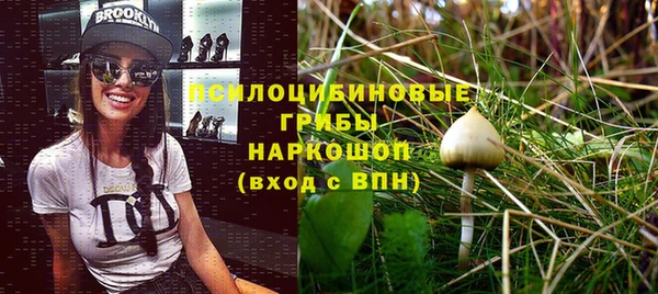 прущие грибы Навашино