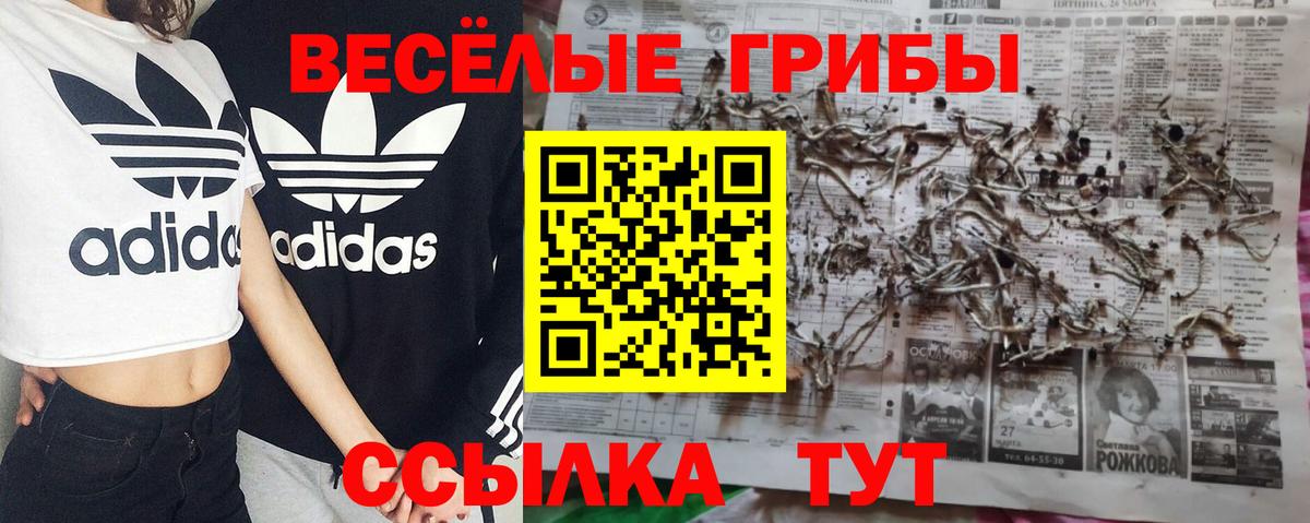 Псилоцибиновые грибы Psilocybe  Псилоцибиновые грибы Psilocybine cubensis  Пятигорск  Вход с VPN 
