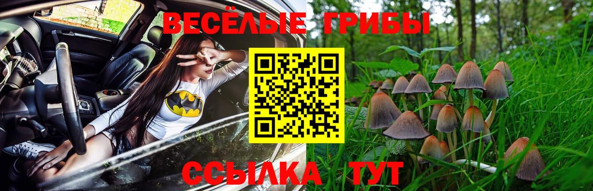 Галлюциногенные грибы ЛСД Пятигорск